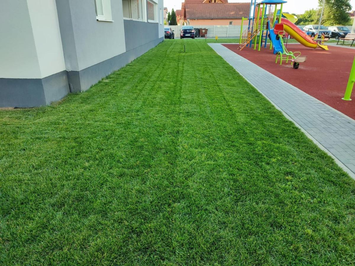 Hunyadi Luxury Kogalniceanu 锡比乌 外观 照片